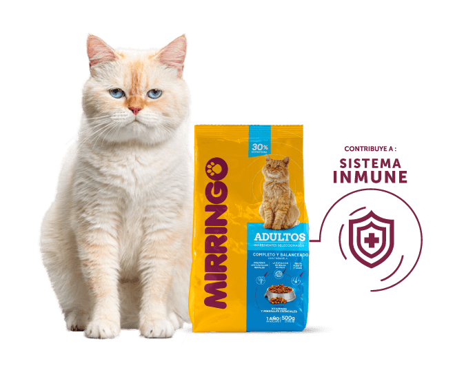 producto mirringo adultos